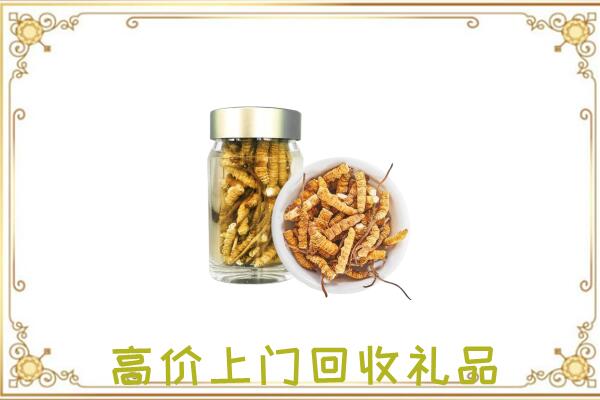 绵阳周边回收虫草